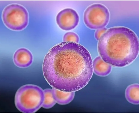 吃西柚對胚胎著床有好處嗎？