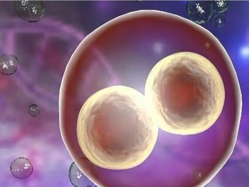 什么是4ab級(jí)別的囊胚？它的質(zhì)量如何？