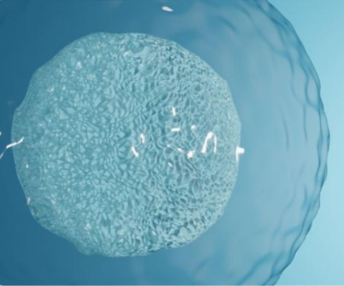 做試管嬰兒應(yīng)該什么時(shí)候去做檢查？