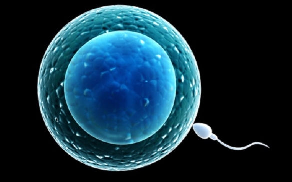 免疫性不育患者能否做試管嬰兒進(jìn)行生育？