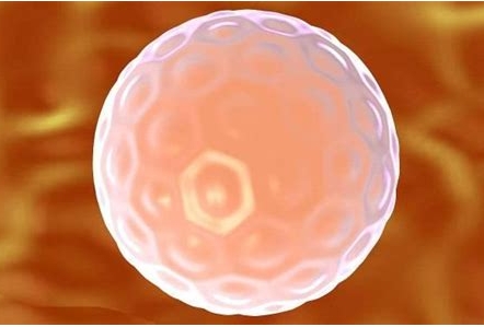 雙側(cè)輸卵管部分基本通暢是什么意思？對懷孕有影響嗎？