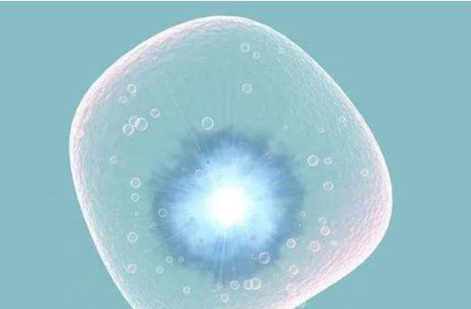  試管囊胚移植的最佳窗口期是幾天時(shí)間？