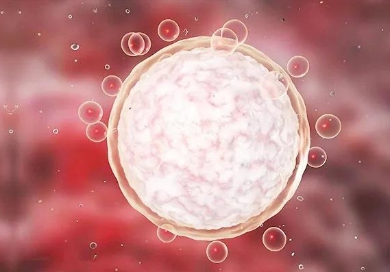 內(nèi)膜轉(zhuǎn)化移植手術(shù)推遲一天是否會影響移植結(jié)果？