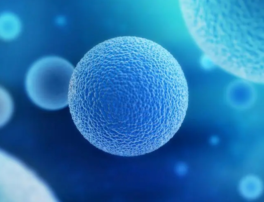 試管嬰兒養(yǎng)囊成功后需要繼續(xù)交冷凍費(fèi)用嗎？