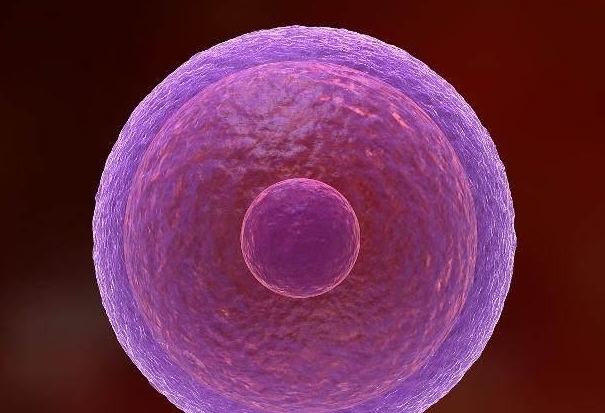 做試管嬰兒的女性會老得比較快嗎？