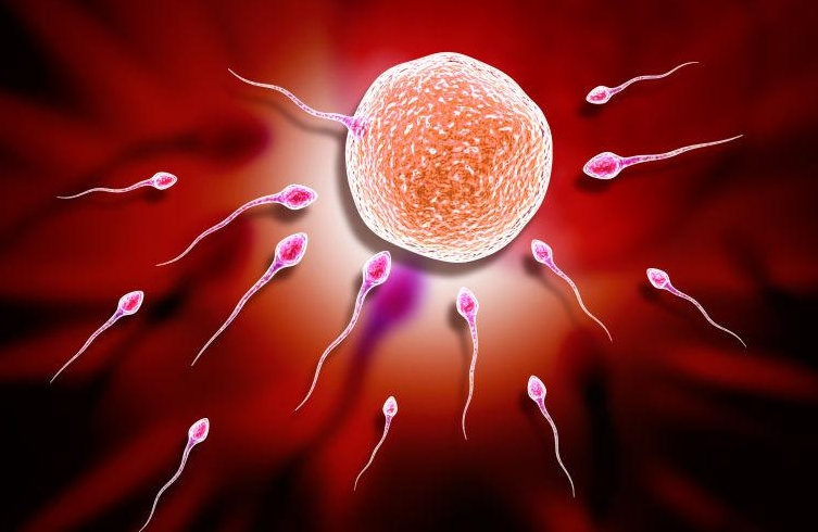 子宮內(nèi)膜偏厚做試管嬰兒需要刮宮嗎