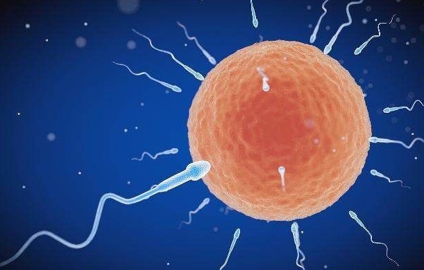 試管囊胚移植第十天用試紙測不出來是失敗了嗎？