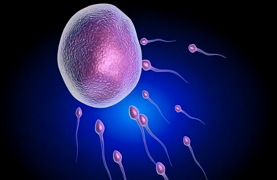 卵巢功能下降還能生育嗎？如何生育？