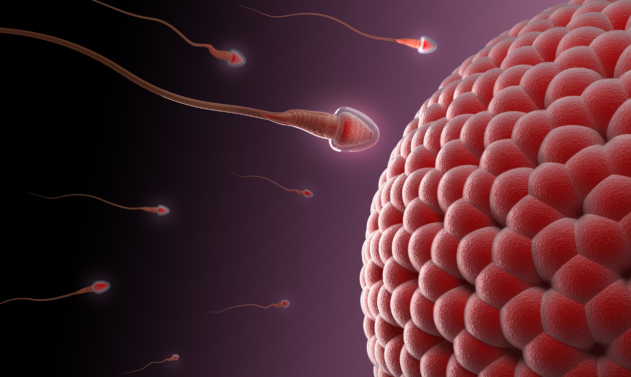 患有弱精癥做第幾代試管嬰兒技術(shù)比較好？