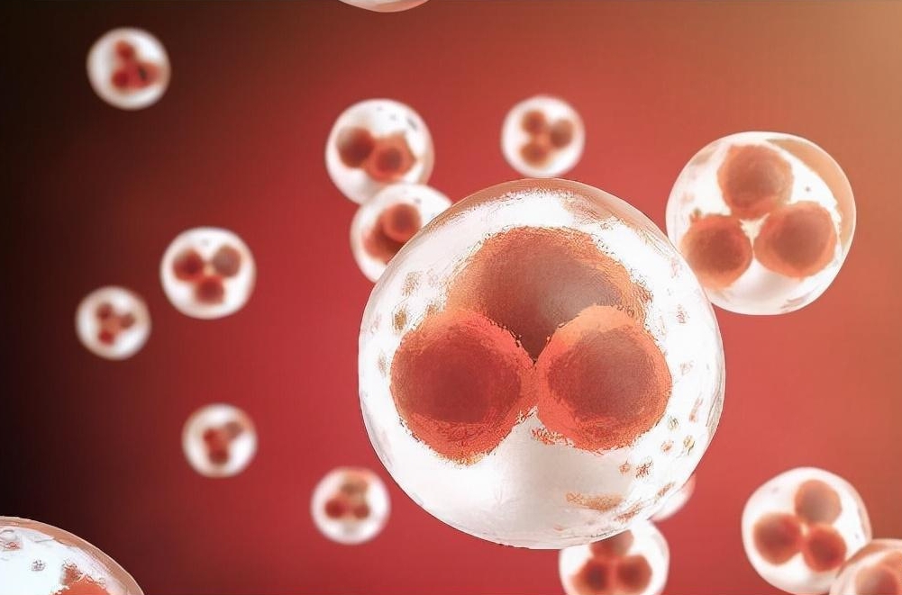 做試管取精和**相差兩小時會影響成功率嗎？