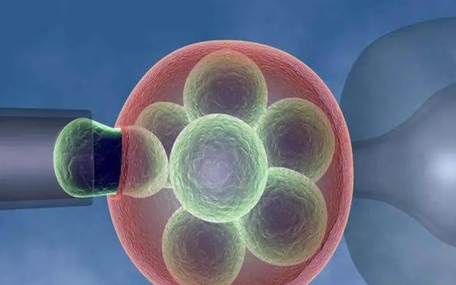 女性卵泡數量少如何懷孕生子?