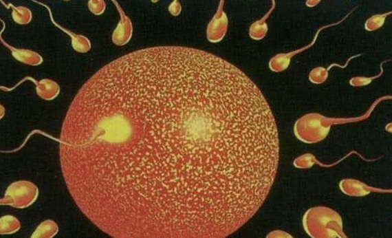 輸卵管造影的流程是什么？會(huì)很疼嗎？