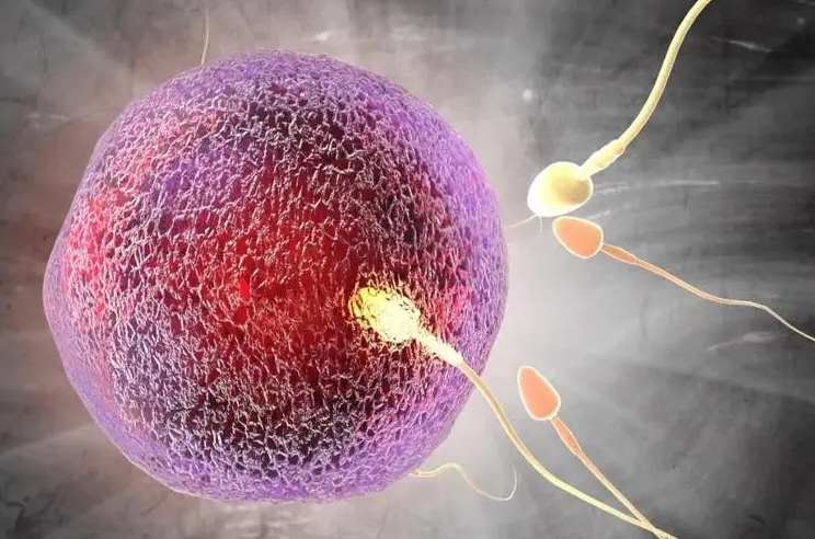 試管多次移植失敗可以轉(zhuǎn)去做三代試管嗎？