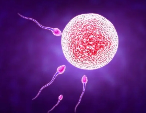 隱睪癥患者做試管嬰兒可以成功嗎?