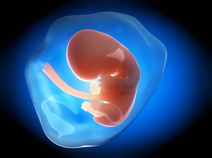 試管嬰兒移植周期的計算方法是什么？