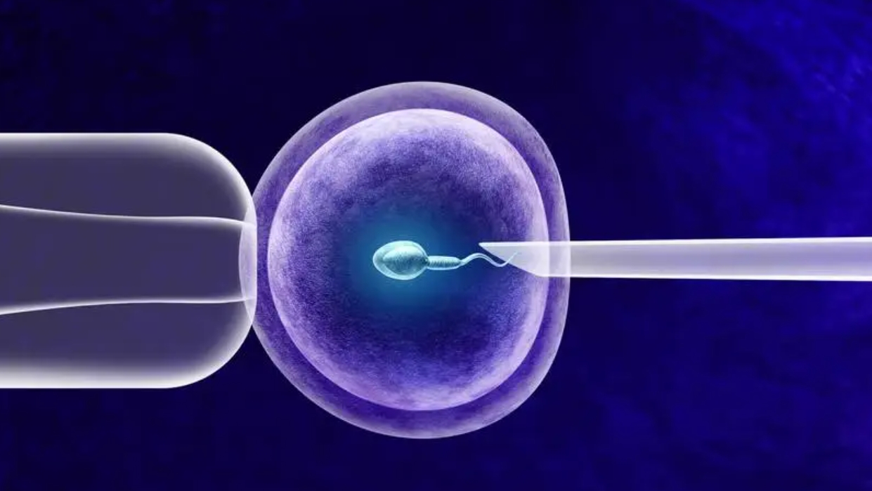 試管嬰兒移植囊胚失敗是流產(chǎn)的意思嗎？