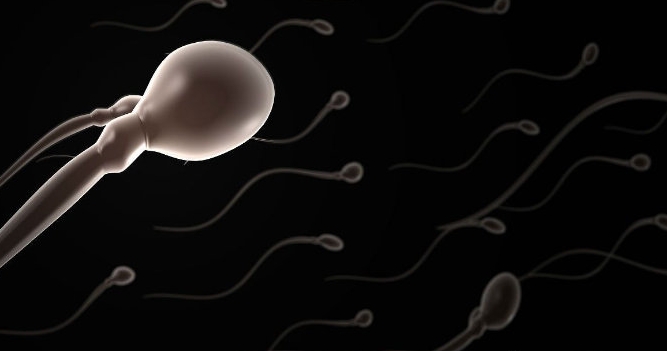 輸精管堵塞的治療方法有哪幾種？