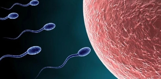 鮮胚移植后沒測出懷孕需要去醫(yī)院做抽血檢查嗎？