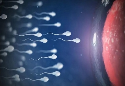 做試管移植后胰島素偏高的解決方法是什么？