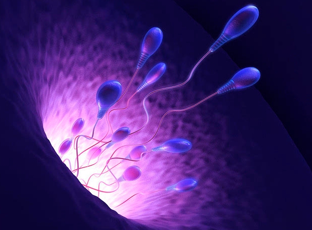 多次順產(chǎn)后還能做試管生孩子嗎？