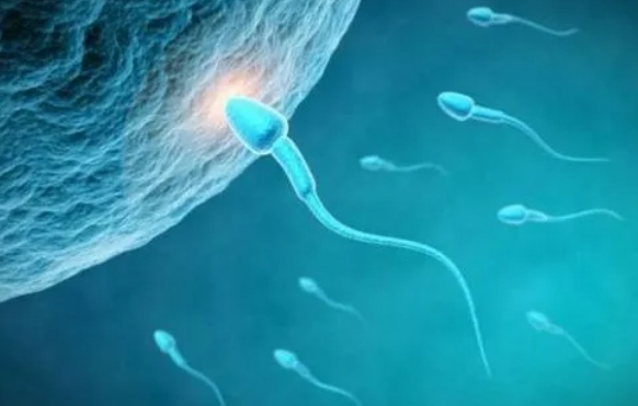 針灸能治好輕度子宮內(nèi)膜異位癥嗎？