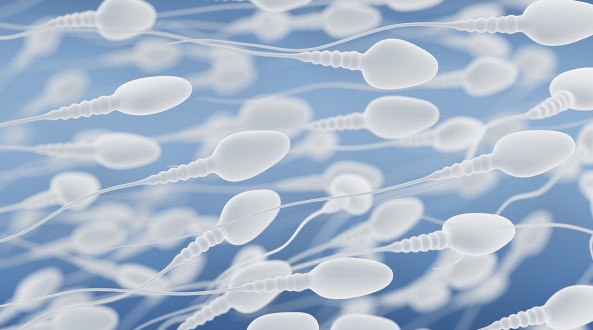 做試管嬰兒為什么會(huì)多次**不成熟？