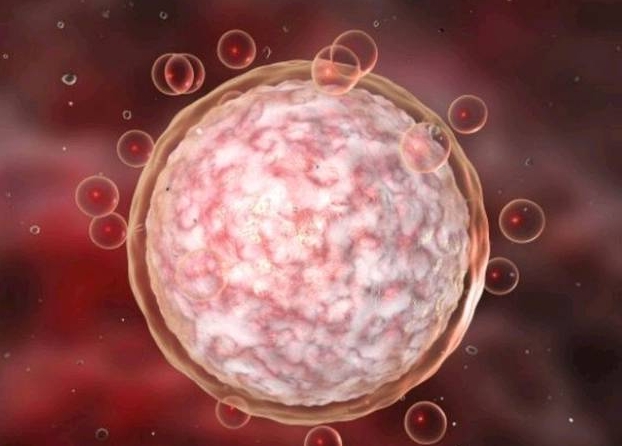 四十六歲做試管嬰兒的成功率有多少？