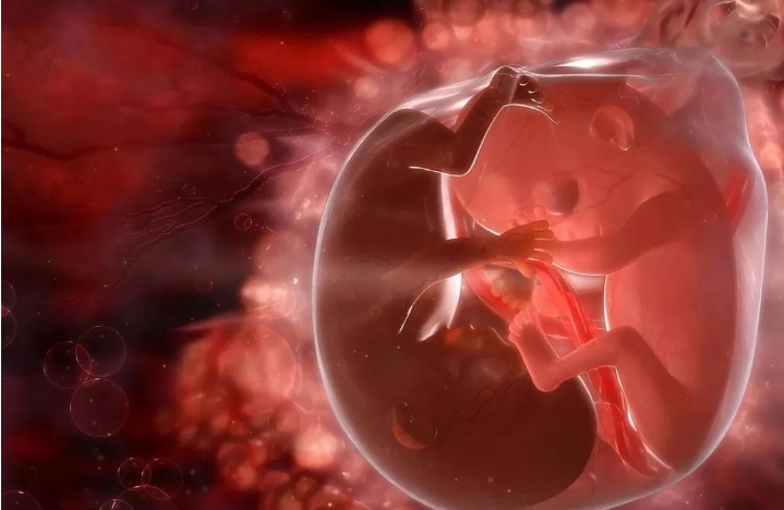  做試管嬰兒進(jìn)周期后是不是快懷孕了？