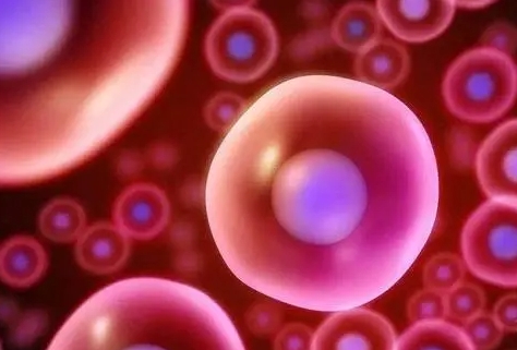  做試管嬰兒超長方案必須要打低分子肝素嗎？