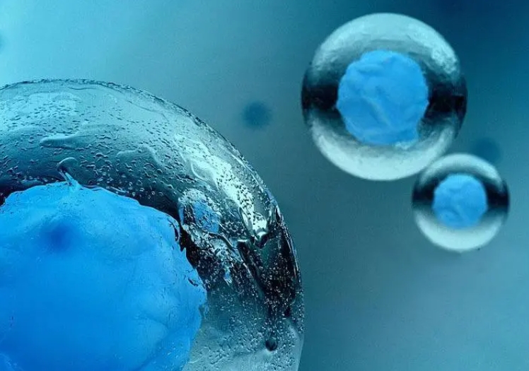 做試管嬰兒移植后可以喝魚頭湯嗎？