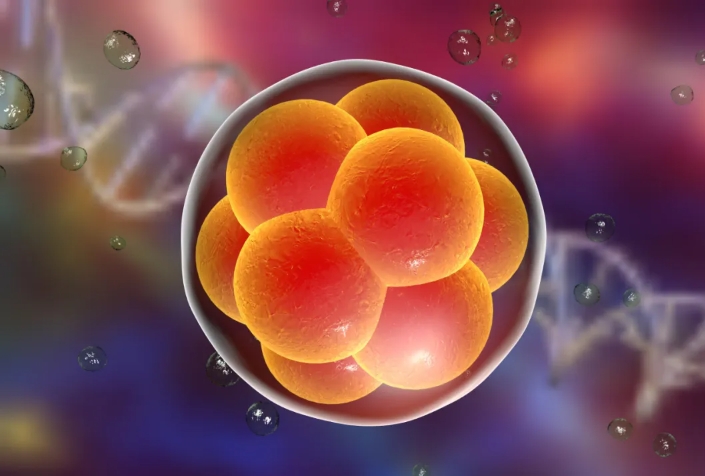  沒有排卵就做試管移植會影響成功率嗎？