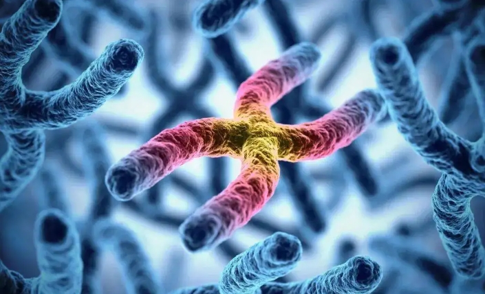  試管嬰兒人工周期的具體步驟是什么？