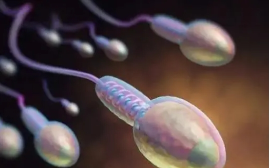  做試管嬰兒降調(diào)需要28天以后回醫(yī)院?jiǎn)幔? /></div>
					</div>
					<div   id=