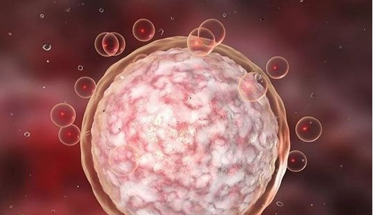 美國單身試管嬰兒全流程要花費(fèi)多長時(shí)間？