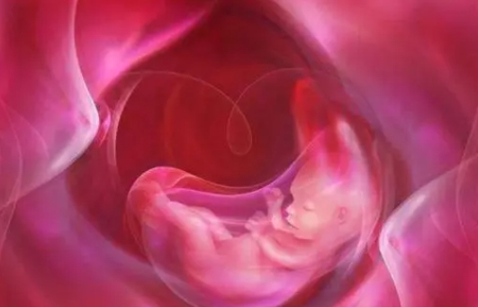 未婚女性能做試管嬰兒生孩子嗎？