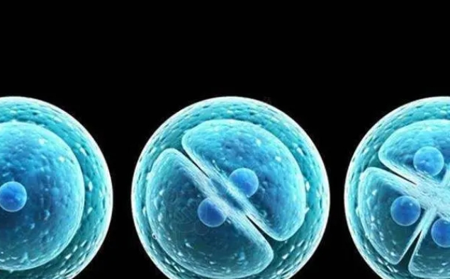 三代試管篩查技術(shù)能夠篩除掉唐氏綜合征嗎？