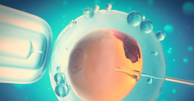 做試管嬰兒應(yīng)該選擇長(zhǎng)方案還是選擇短方案？