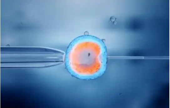 鮮胚移植后陰道塞黃體酮藥的作用是什么？