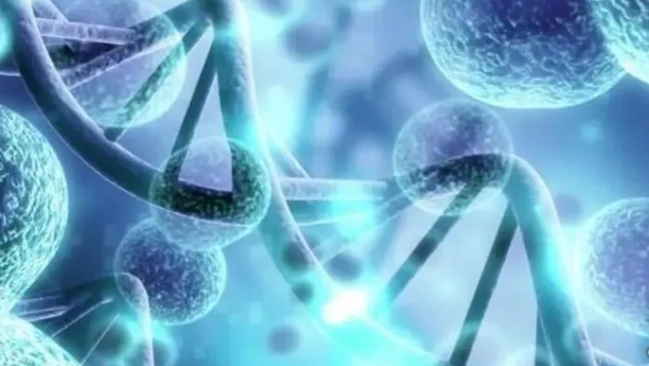 男性陰囊炎性癌可以做試管嬰兒嗎？