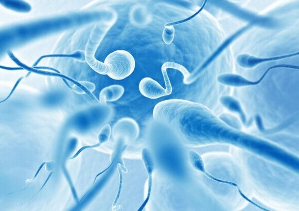 做試管嬰兒總共需要花費多長時間?