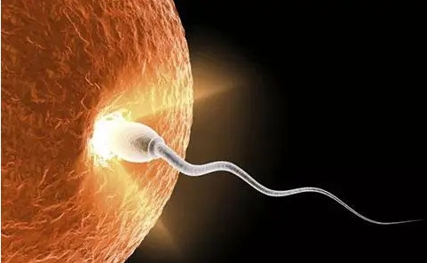 有高孕酮血癥在國內(nèi)和國外做試管分別要注意什么？