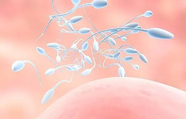  輸卵管炎癥可以生孩子嗎？如何才能成功生育？