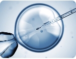 試管嬰兒基因檢測的作用是什么？