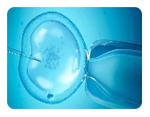 絕經(jīng)了還能做試管移植凍胚嗎？有什么風(fēng)險(xiǎn)？