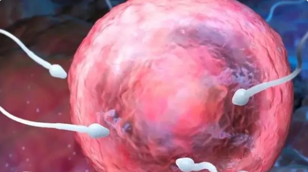 高齡做試管嬰兒有哪些注意事項(xiàng)？是不是必須做三代？