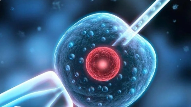 在廣州高齡做試管嬰兒應(yīng)該怎么找醫(yī)院呢？