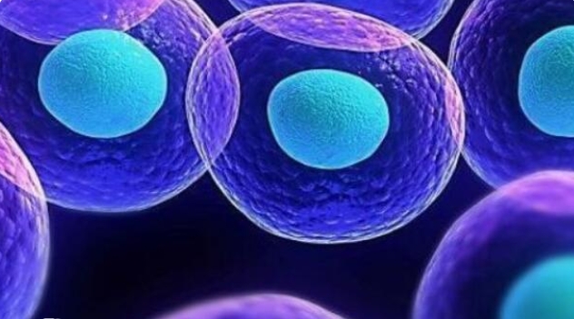 高齡一次試管成功的費(fèi)用估計(jì)需要多少錢？