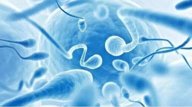 做第三代試管**的話大概費(fèi)用要多少錢？