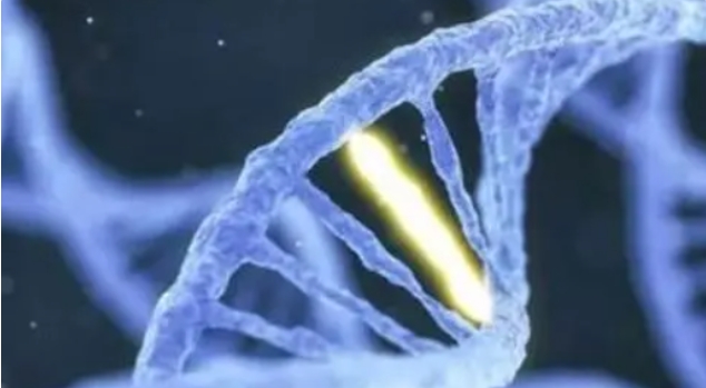 高齡做試管嬰兒有什么辦法能提高成功率嗎？