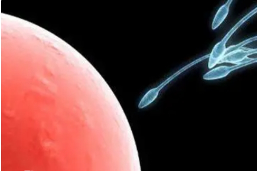 結(jié)扎了去做試管嬰兒**幾率高不高？